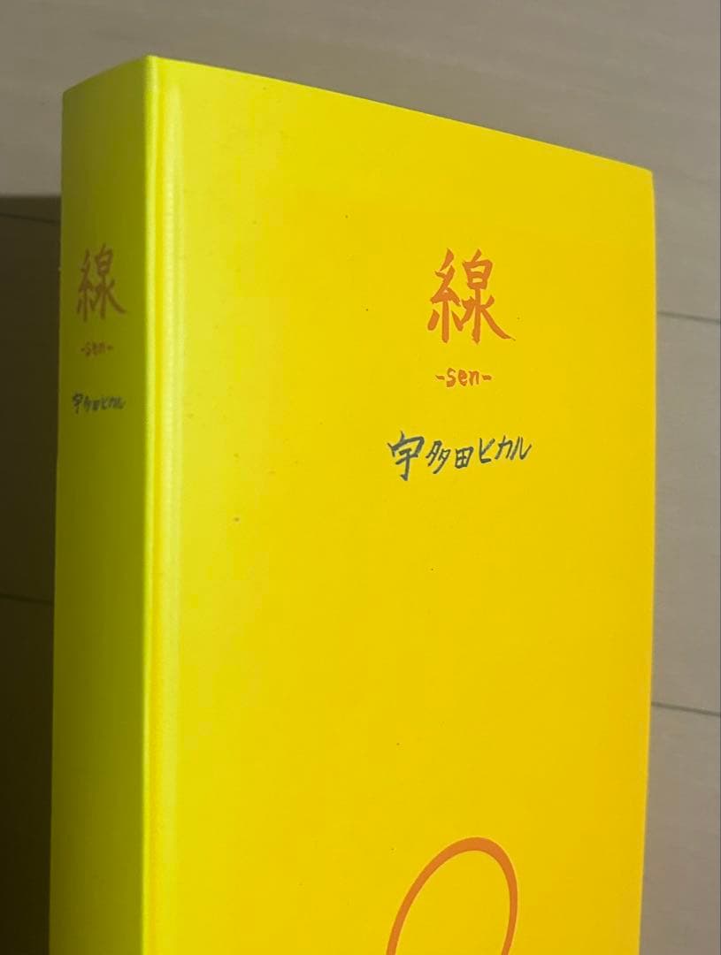 宇多田ヒカル 点 ―ten―、線 ―sen― 2冊セット