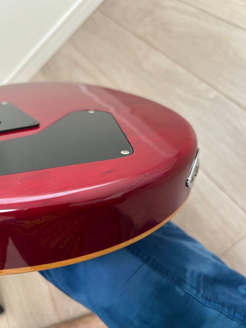 PRS SE CUSTOM 24 エレキギター　ポールリードスミス　初心者