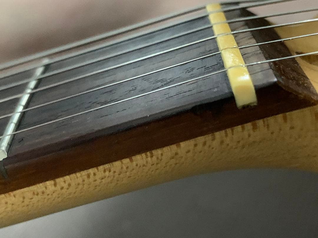 Play Tech プレイテック TL テレキャスター テレキャス 黒