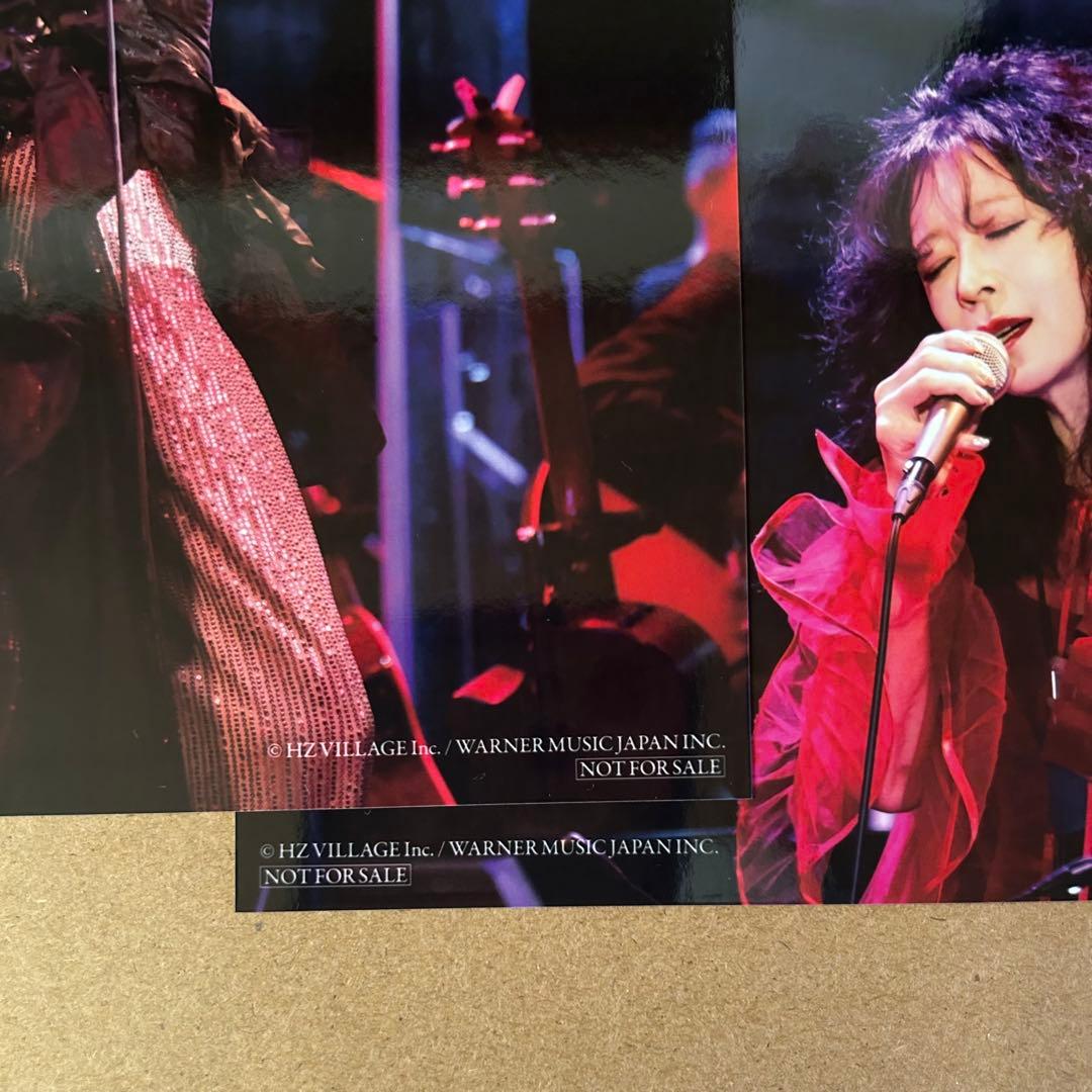 【未開封】中森明菜　ALDEA Bar at Tokyo 2024完全生産限定