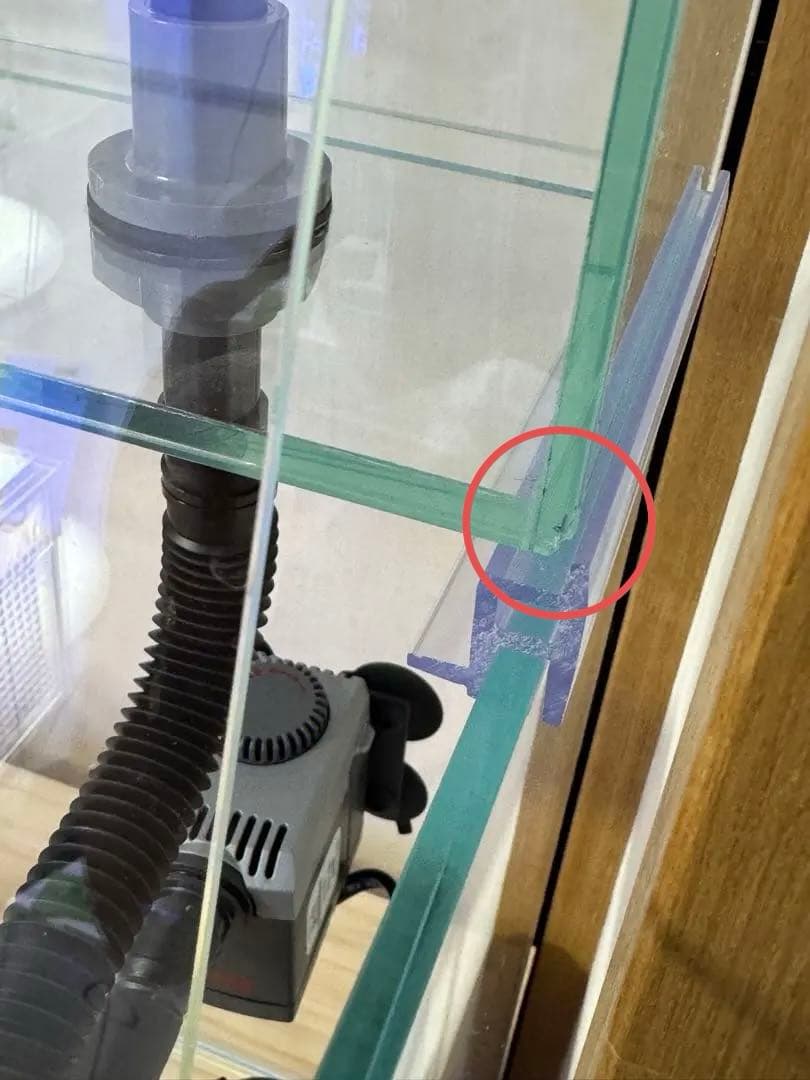 本日値下げ！　引き取り限定値下げ！　ガラス水槽 ポンプ付　海水魚　リフジウム