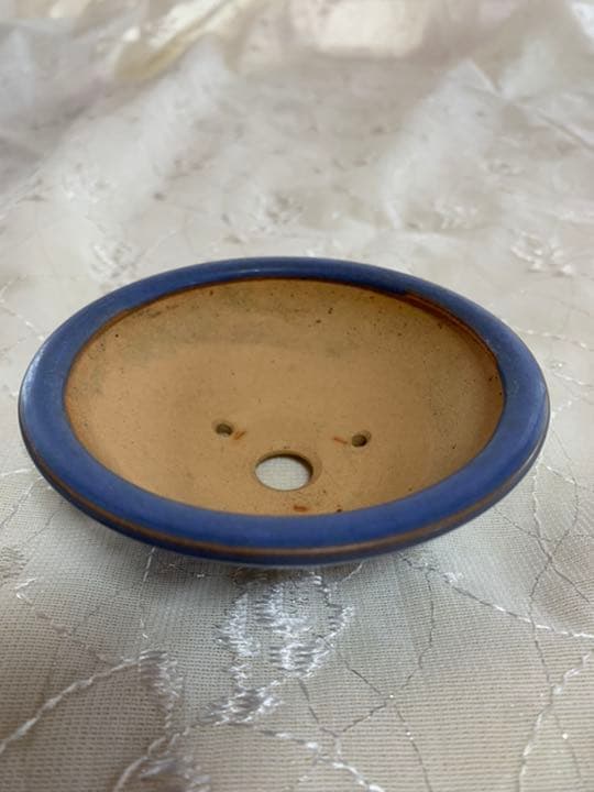 美芸　盆栽鉢　丸　青