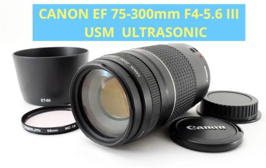 大迫力300㎜/望遠レンズ/人気/スポーツ/Canon EF75-300㎜USM