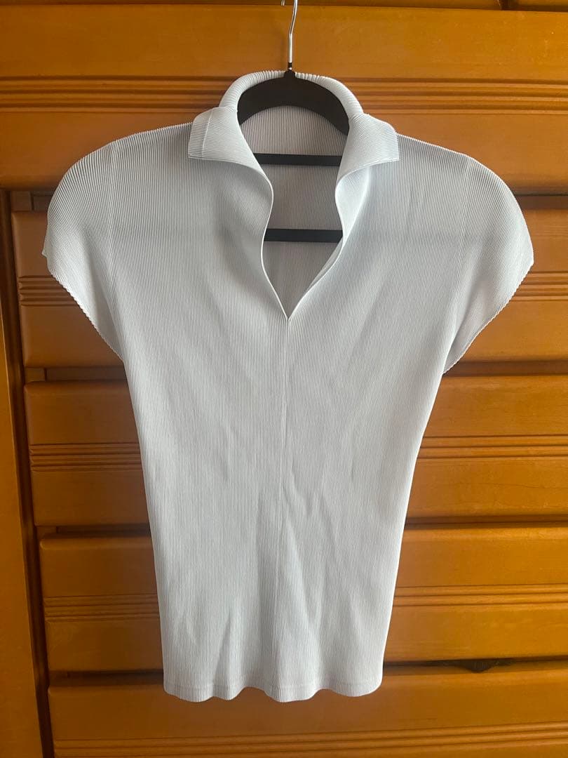 プリーツプリーズ