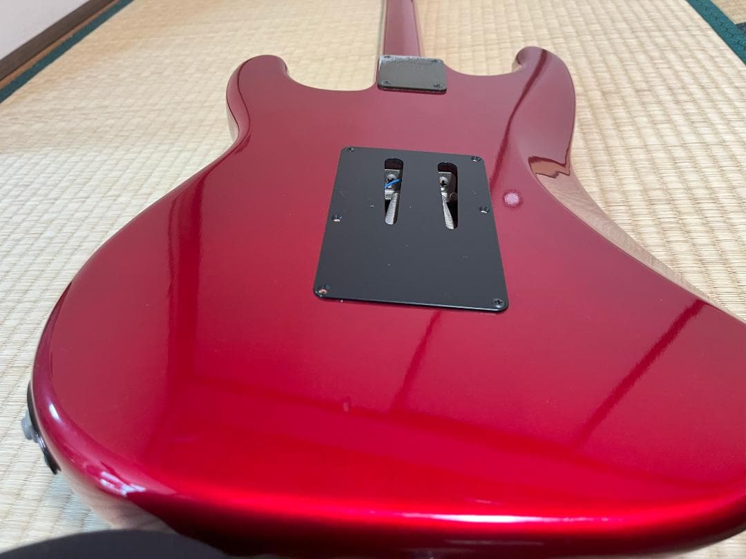 FERNANDES FST-65 電装系なし　スケルトン