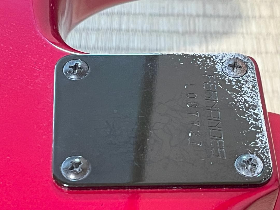 FERNANDES FST-65 電装系なし　スケルトン