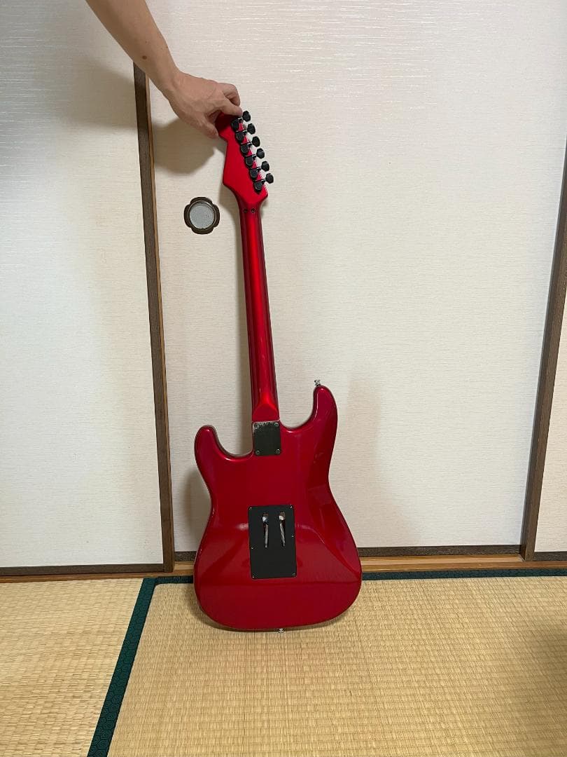 FERNANDES FST-65 電装系なし　スケルトン