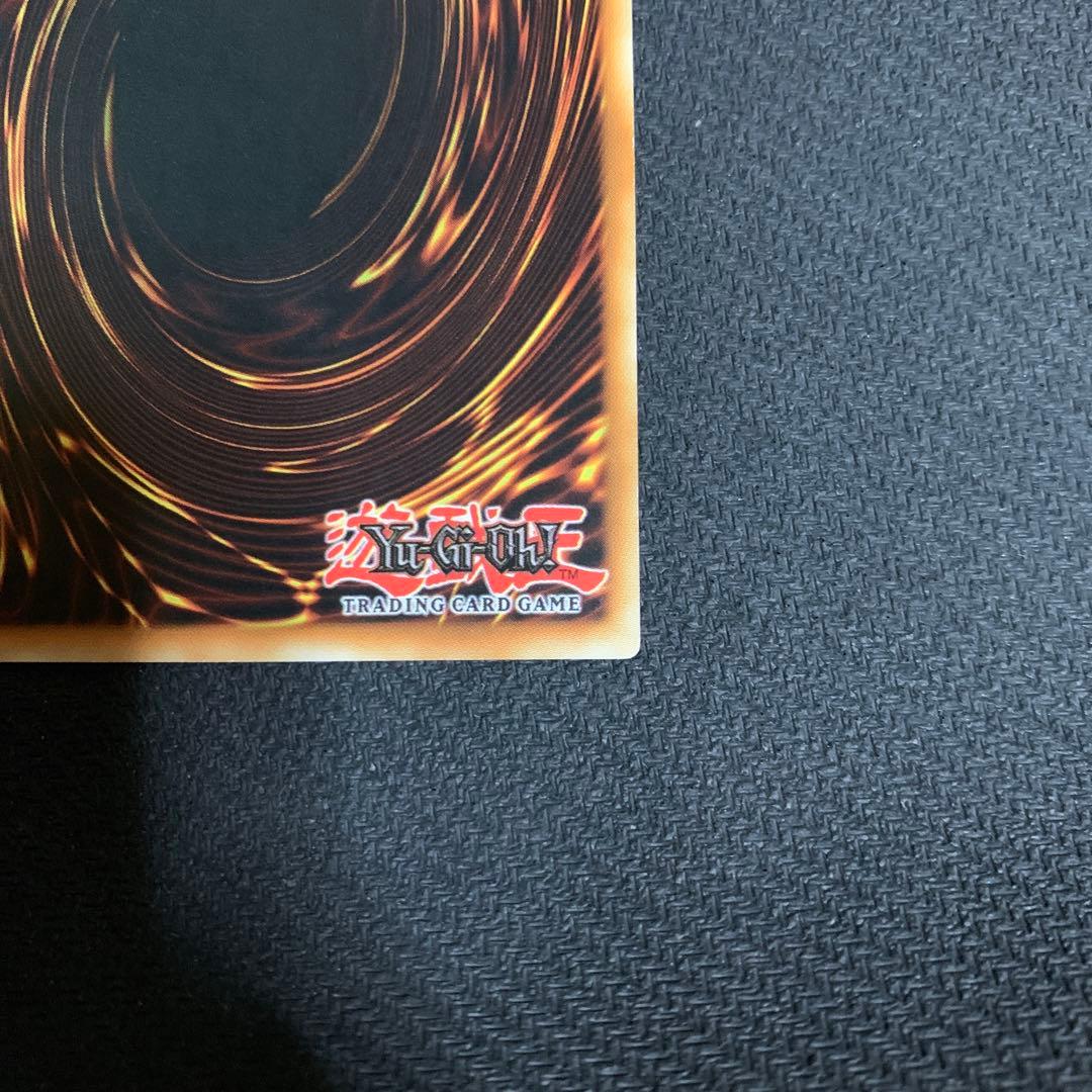 青眼の白龍　字レア　青　ドイツ