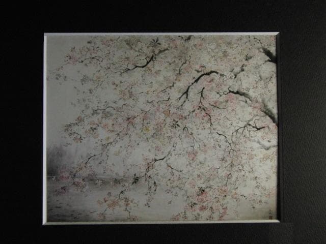 田中玉弘、【さくら（千鳥ヶ渕）】、希少な額装用画集より、美品、新品額装付