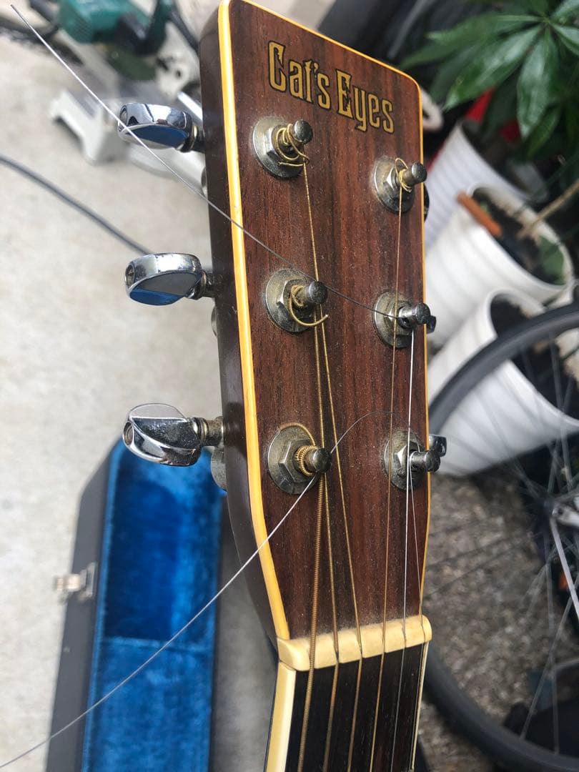 ギター Cat's Eyes CE-600