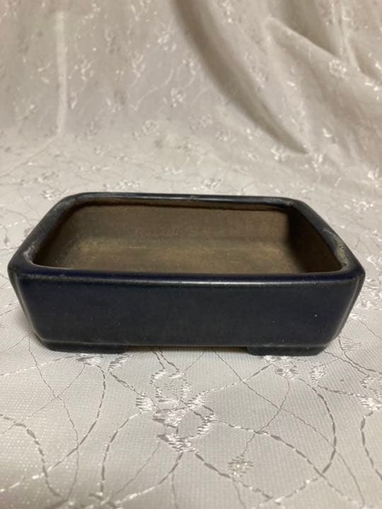 祝峯　盆栽鉢131