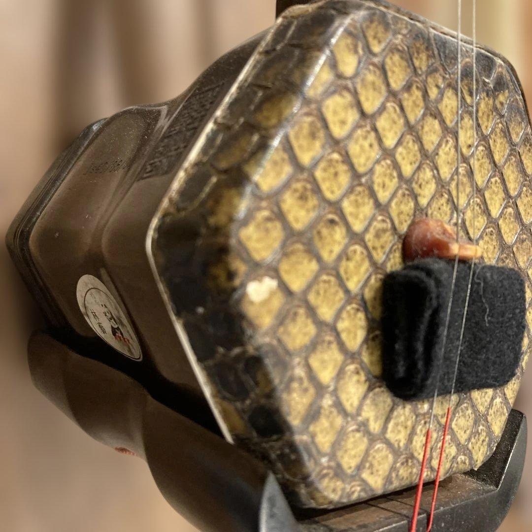 まよ 二胡 弦楽器　リュックケース付き