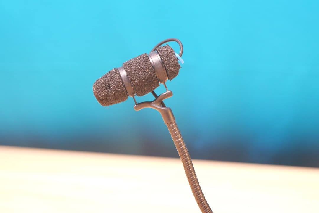 DPA ( ディーピーエー ) 4099-DC-1-201-C　チェロ 訳あり