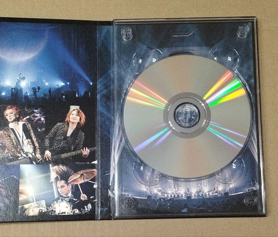 THE DAY IN QUESTION 2017 完全生産限定盤 DVDバクチク