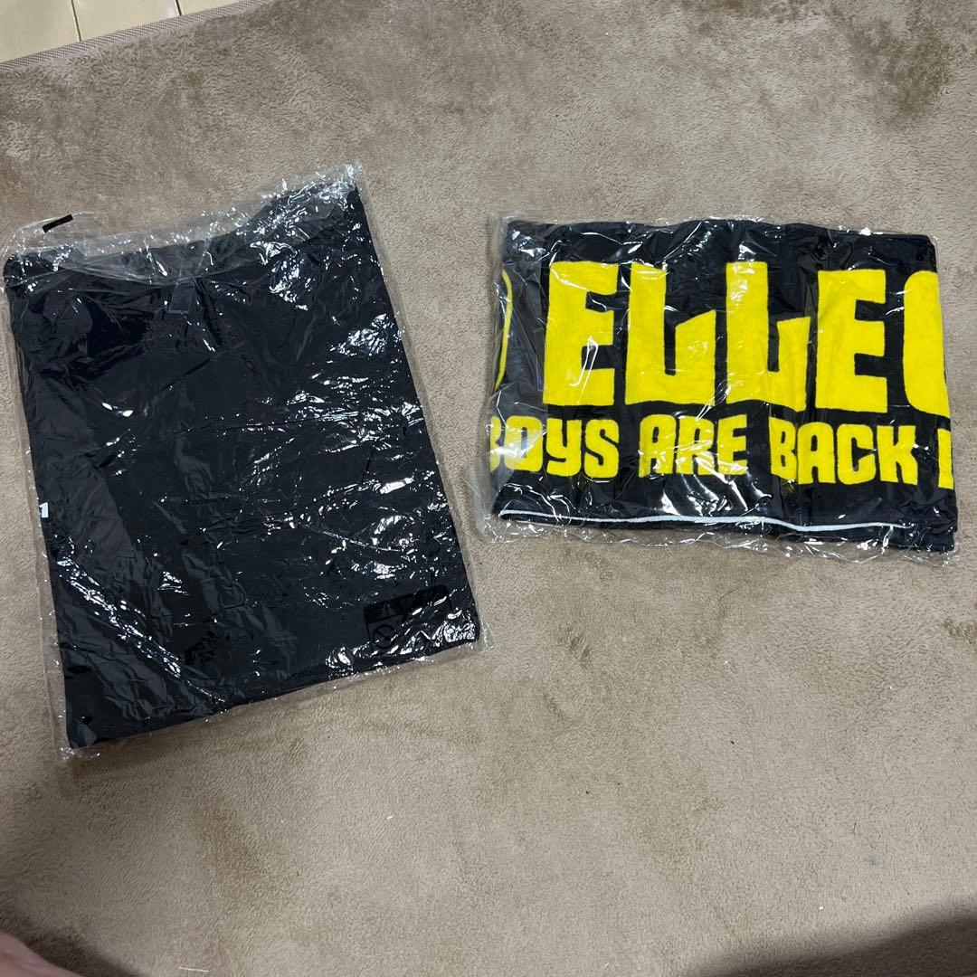 ELLEGARDEN 復活ライブグッズ　新品未開封