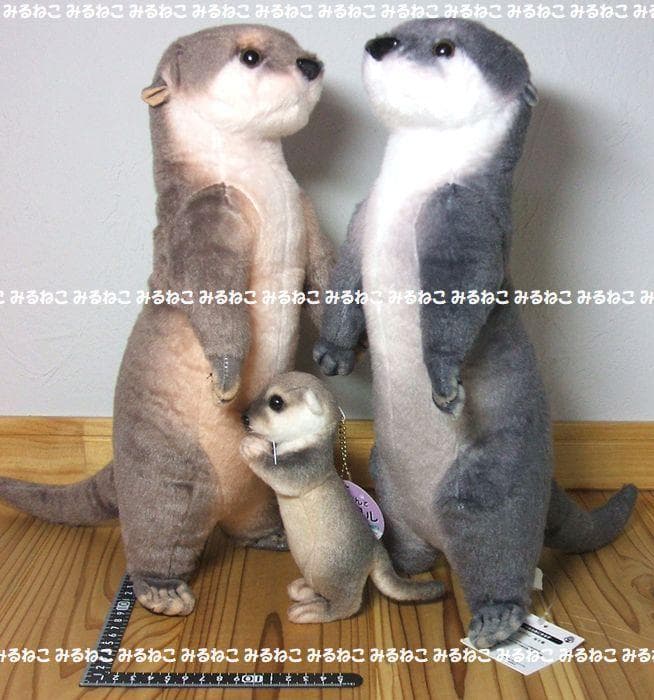 特大 アートドール リアルアニマルズ カワウソ 全2種 おねだり 未使用 セット