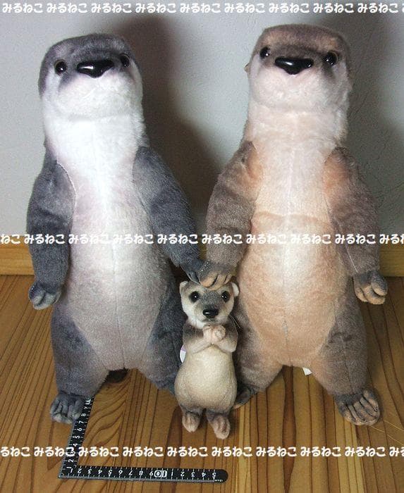 特大 アートドール リアルアニマルズ カワウソ 全2種 おねだり 未使用 セット