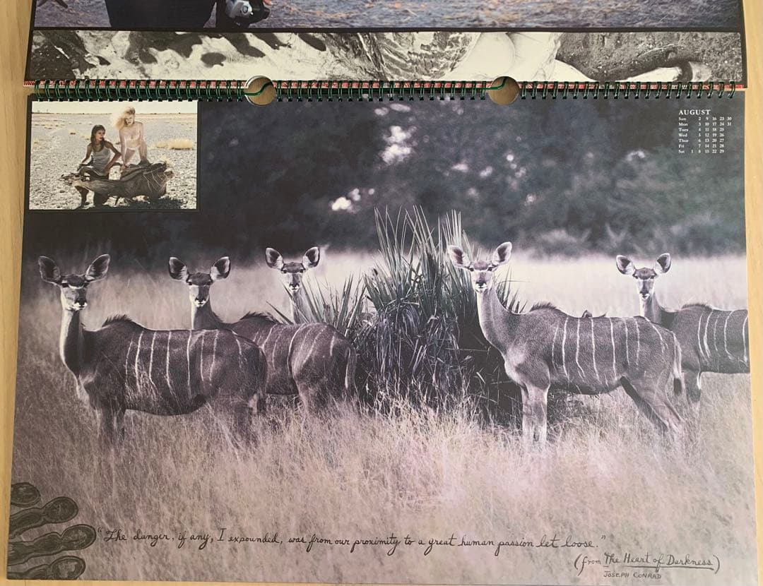 Peter Beard カレンダーPirelli 2009