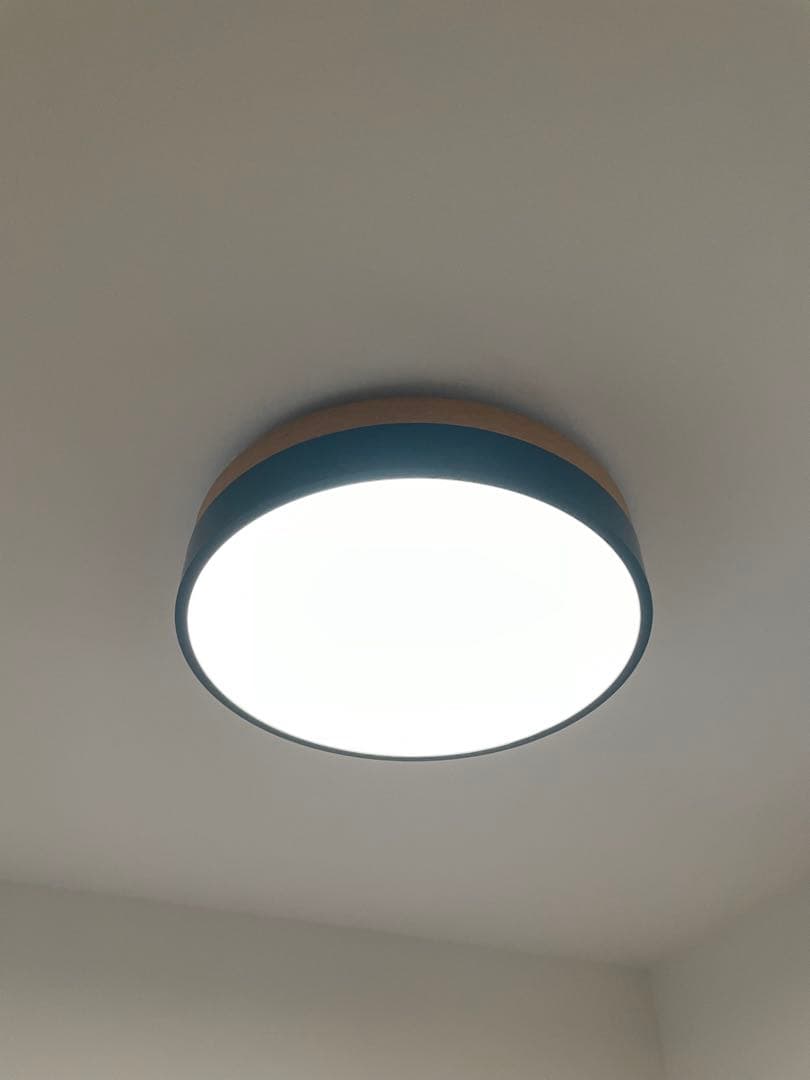 Olika LED CEILING LIGHT BL | unico ウニコ