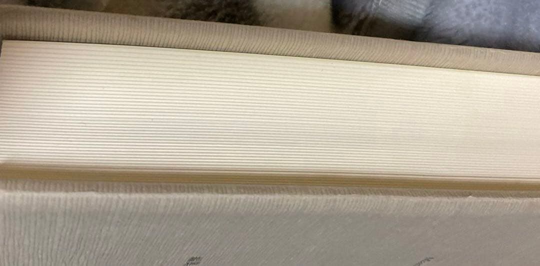 ハイデッガー全集　形而上学の根本諸概念　第29/30巻　ハイデガー　創文社