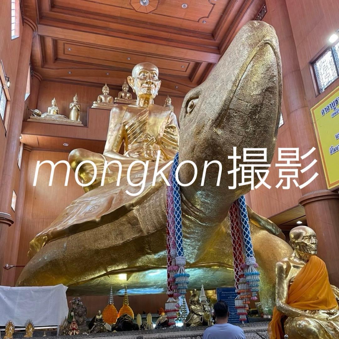 【神龜のご加護】世界尊者『LPリュウ師』超金運到来の神亀　プラクルアン　中　②