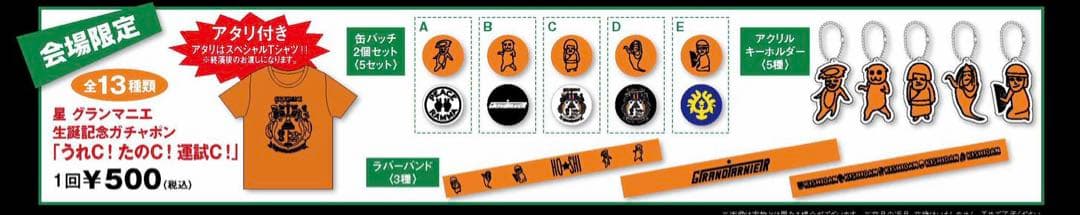 氣志團 星グランマニエ 直筆サイン入り