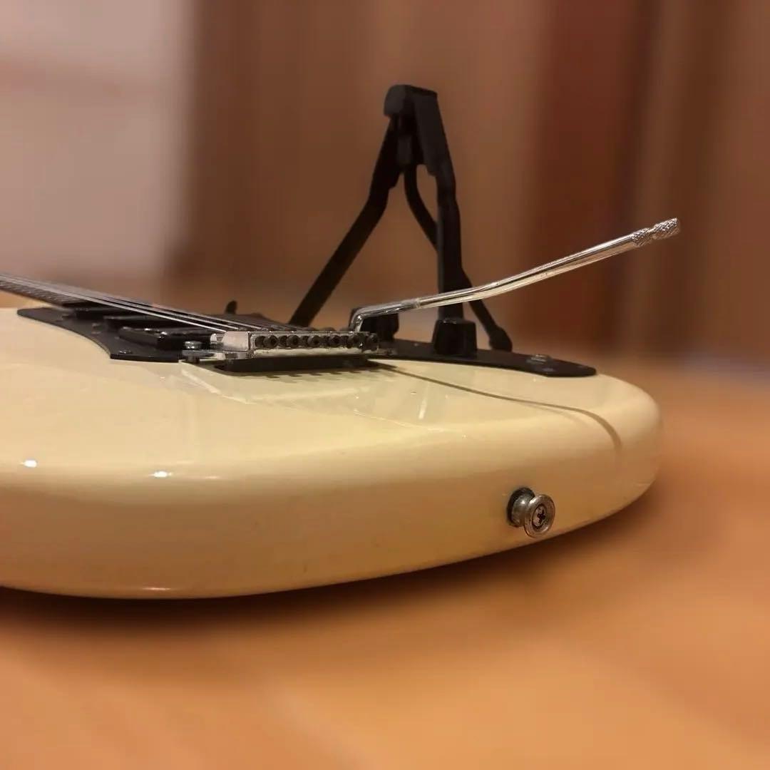 【Kenさん専用】Aria Pro II RS Wildcat アーム付 新品弦