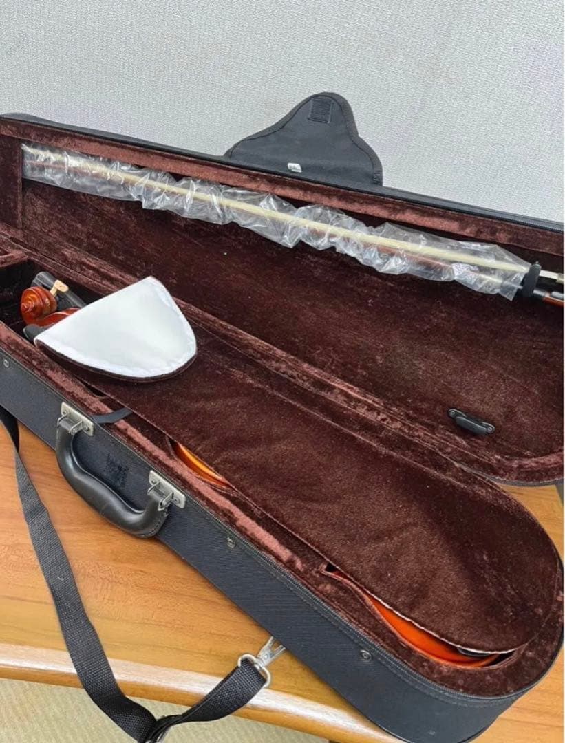 【新品】バイオリン CARLO GIORDANO/VS-1 (4/4サイズ)