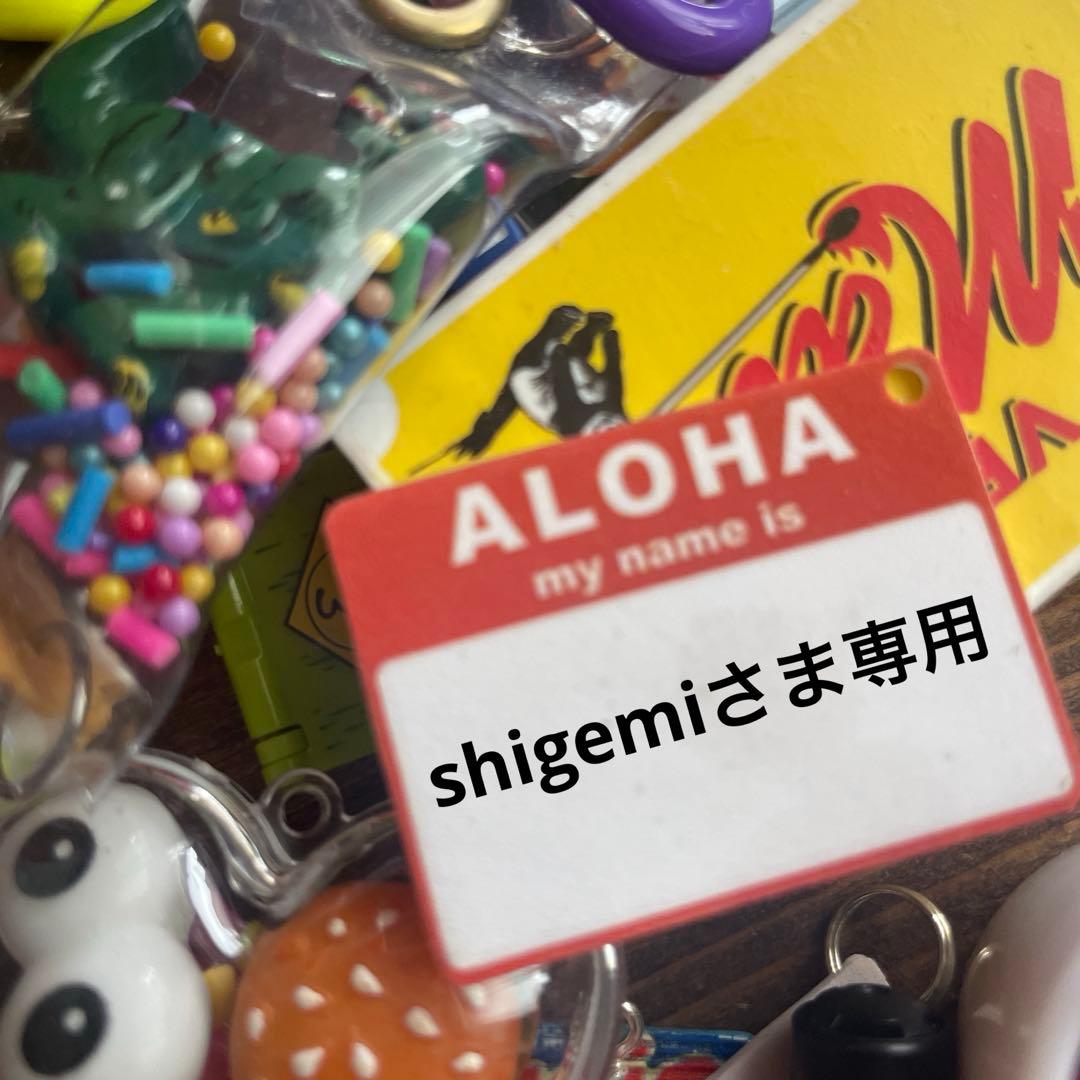 shigemiさま専用♡じゃらじゃらキーホルダー