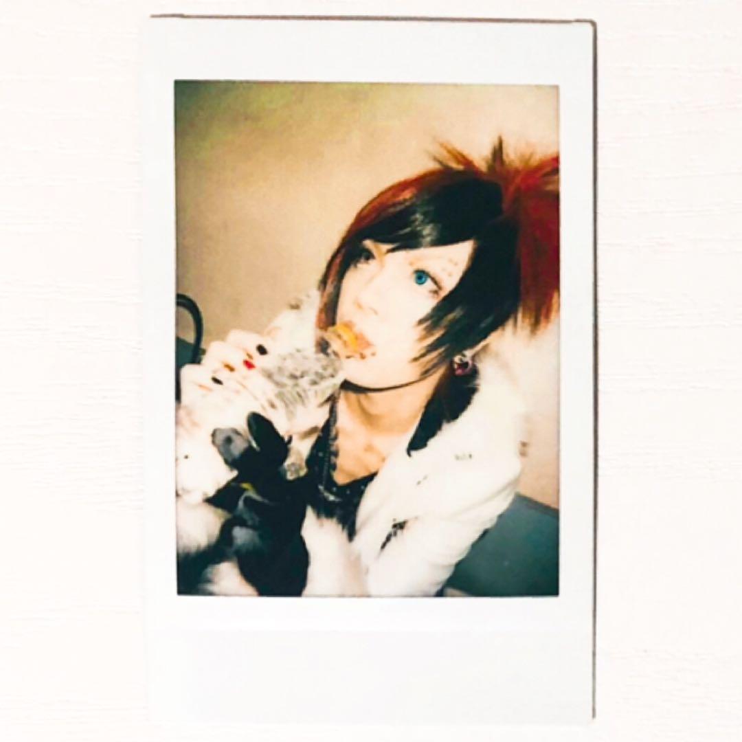 V系★NEVERLAND【涼太】チェキ★2014.12.31★6点セット