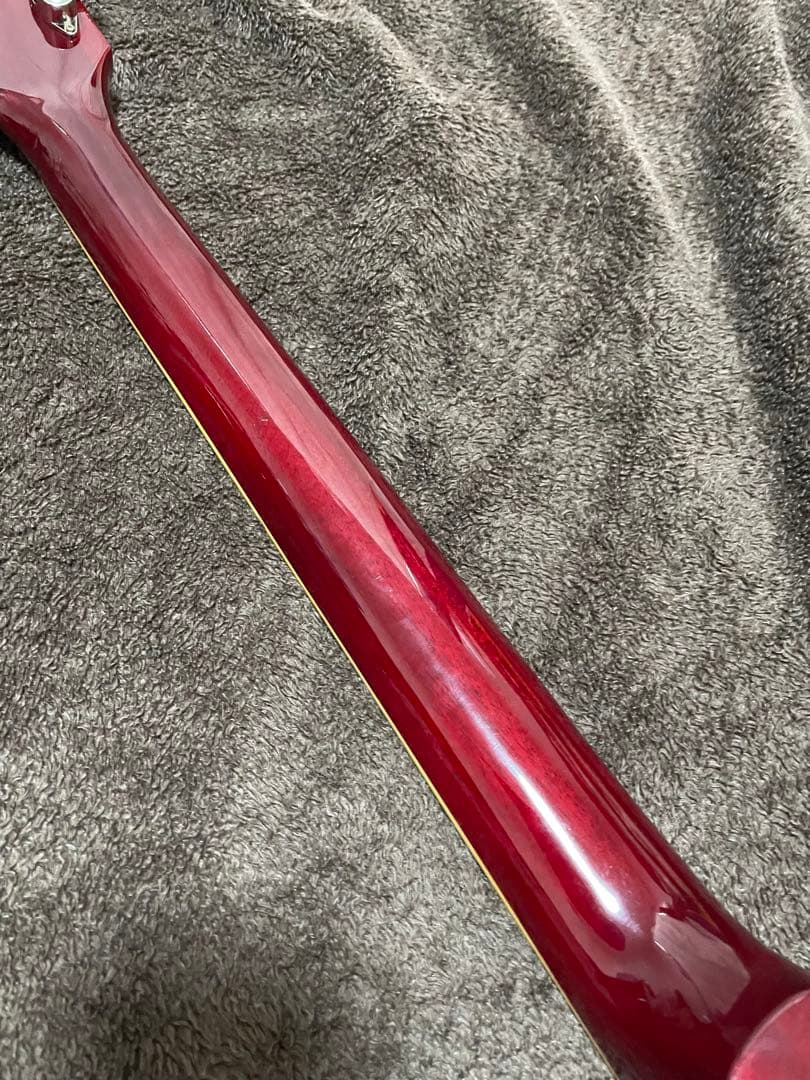 セミアコ 詳細不明