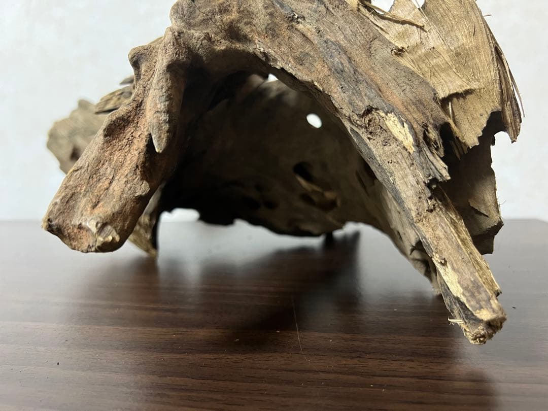 XM-198 流木　マシンガンウッド　アクアリウム　ブランチウッド　沈水確認済