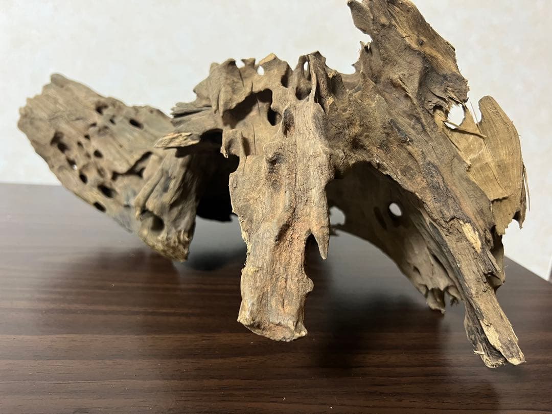 XM-198 流木　マシンガンウッド　アクアリウム　ブランチウッド　沈水確認済