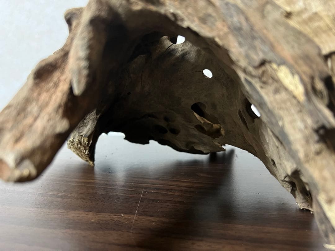 XM-198 流木　マシンガンウッド　アクアリウム　ブランチウッド　沈水確認済