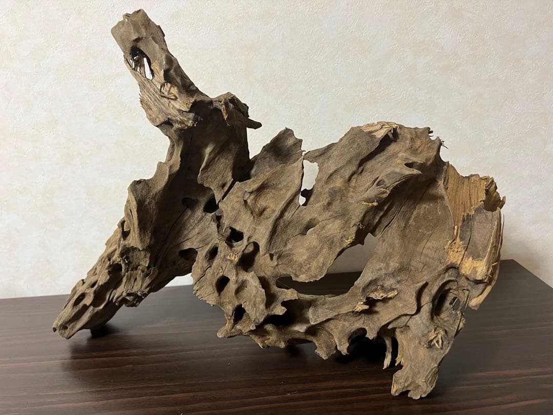 XM-198 流木　マシンガンウッド　アクアリウム　ブランチウッド　沈水確認済