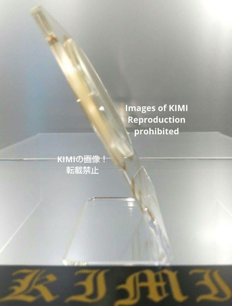 銅メダル バンコク都 タイ Bangkok Metropolis Provinc