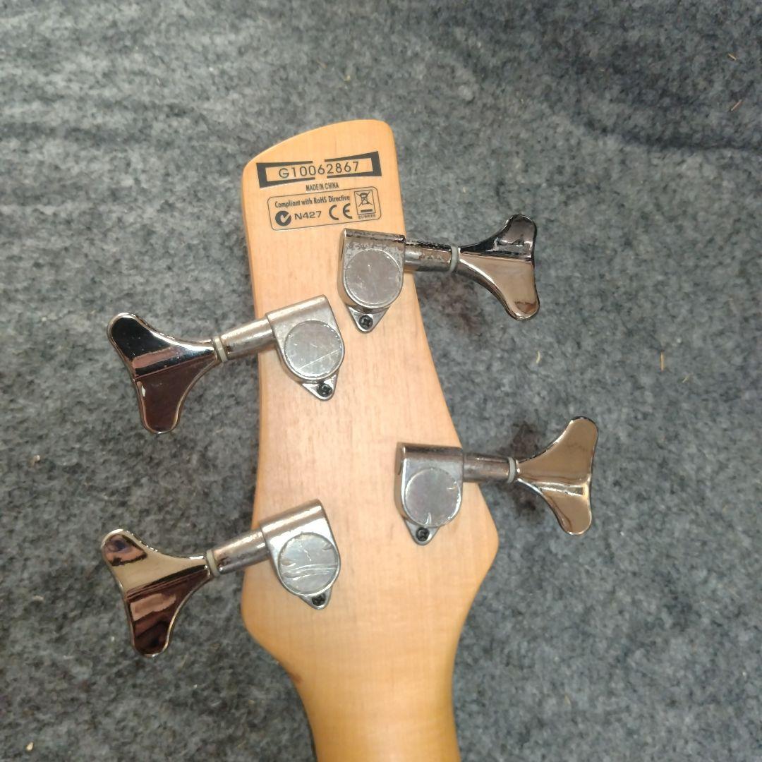 最終価格アイバニーズ gioシリーズ N427