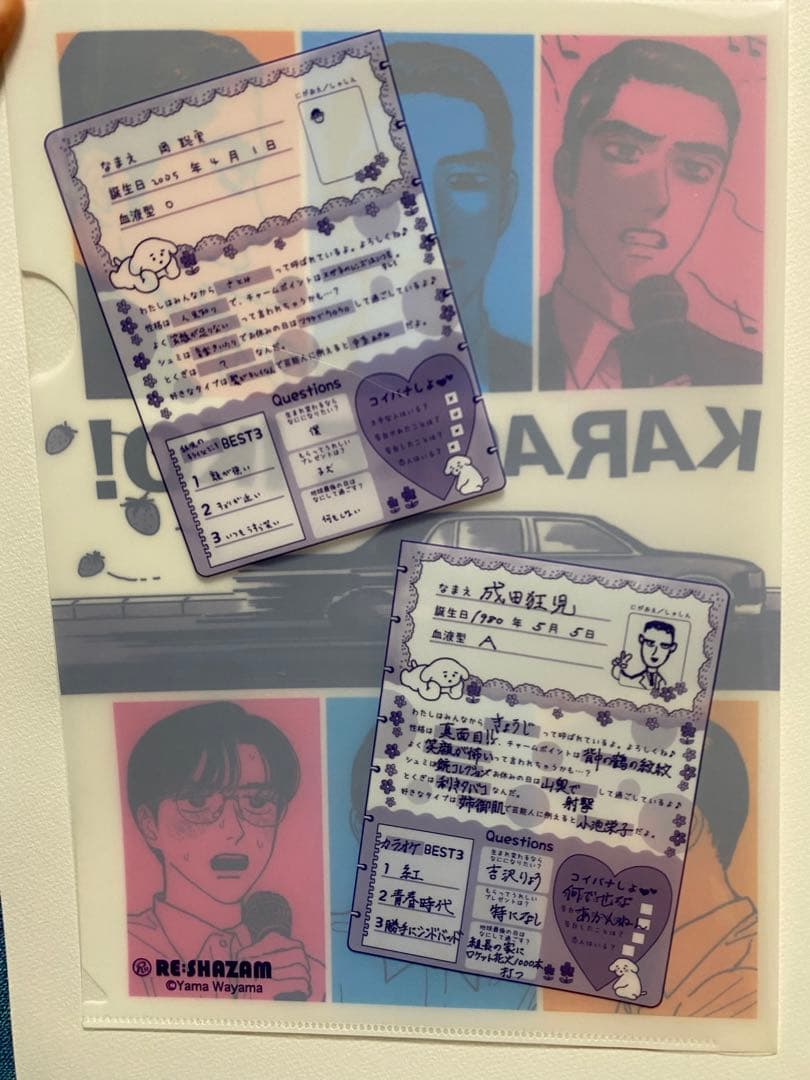 クリアファイル5枚+バースデー冊子×10枚+アニメイラストカード1枚