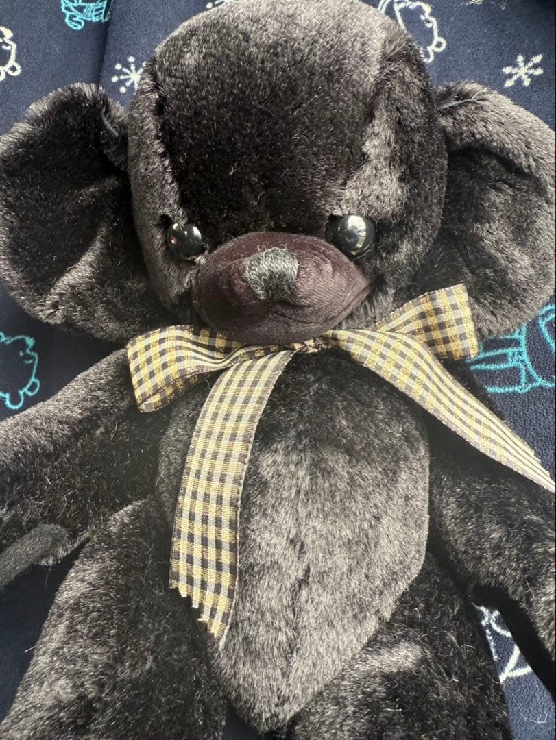 メリーソート\"チーキー\"Blackbean