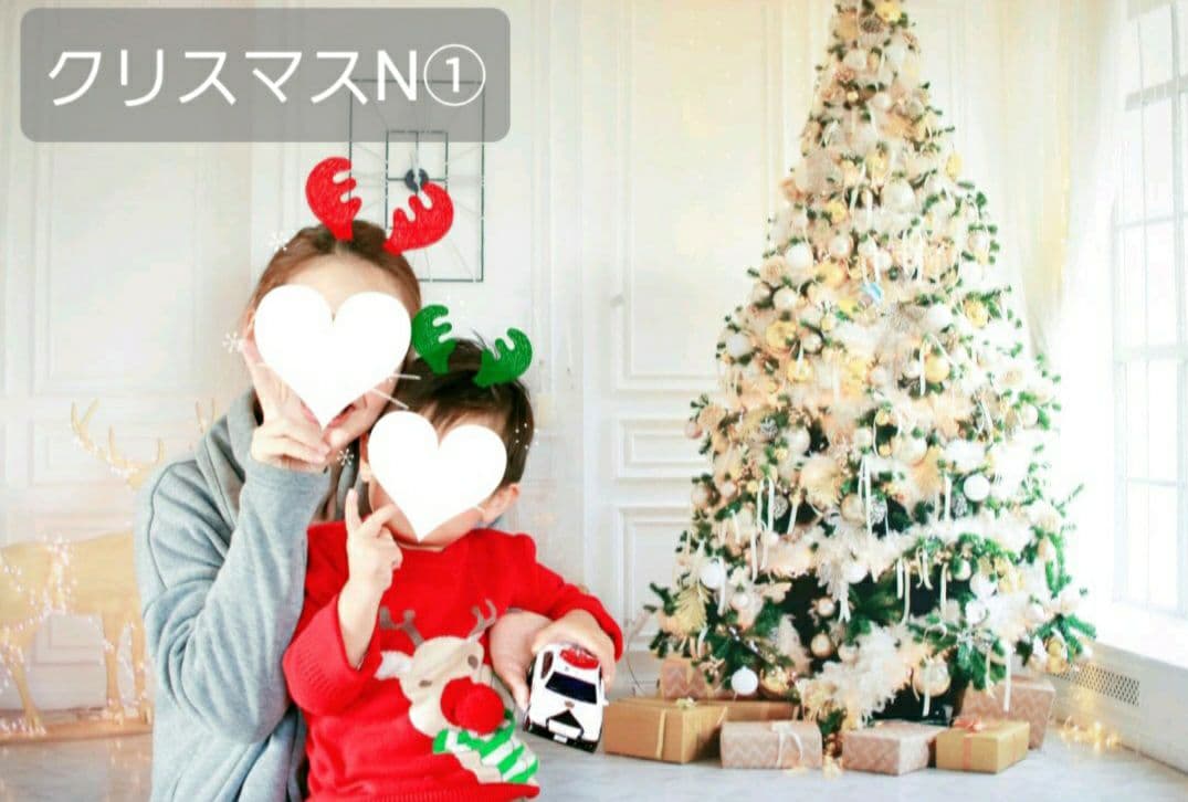 背景布　【　屋内G　】　サンプル　ニューボーンフォトなどに♪