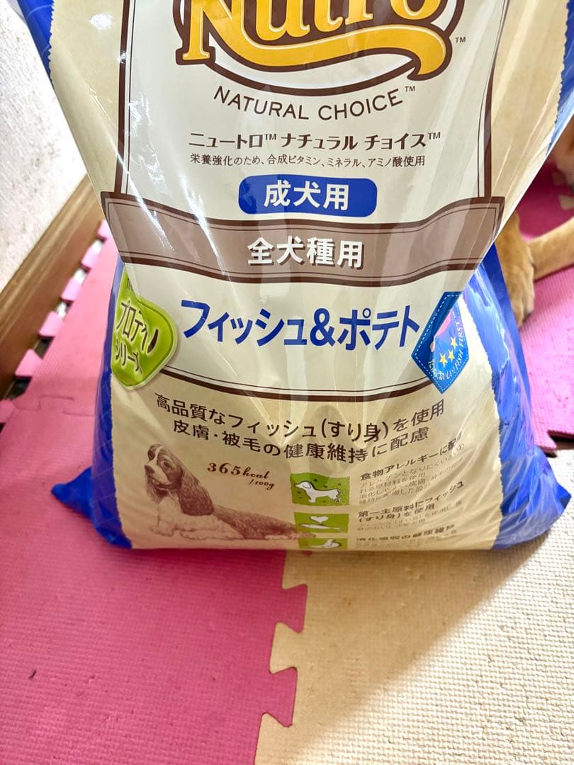 ニュートロ ナチュラルチョイス フィッシュ＆ポテト 全犬種用 成犬用 6kg