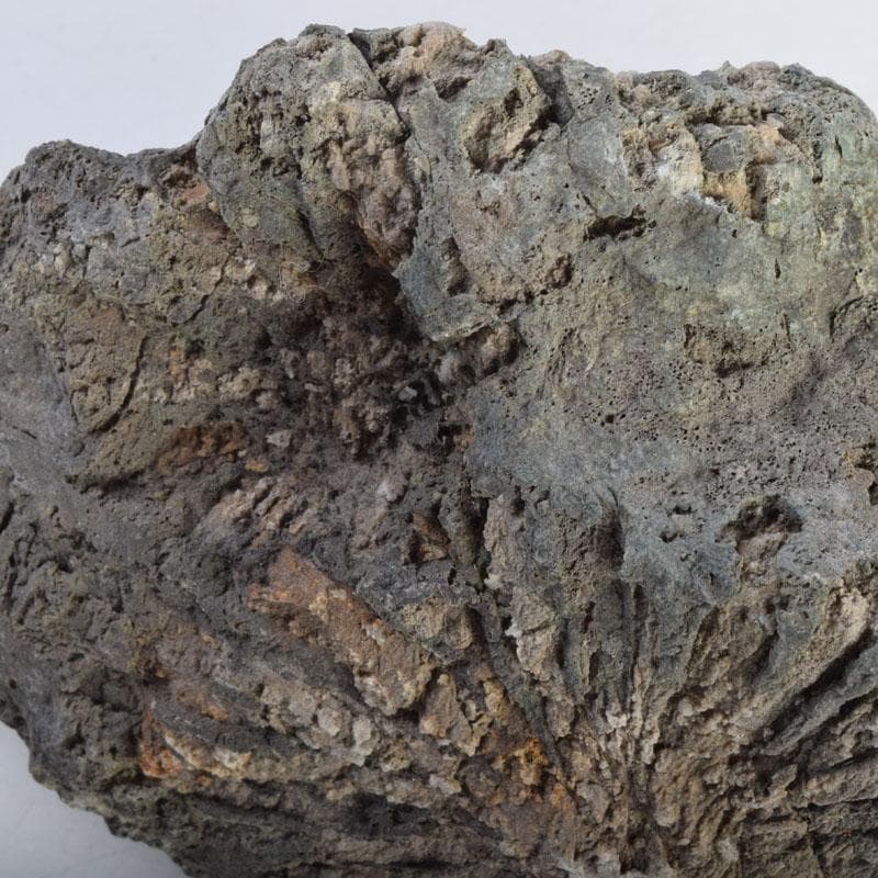 天然石　鑑賞石　菊花石　置物　重さ約1929g　C　8881