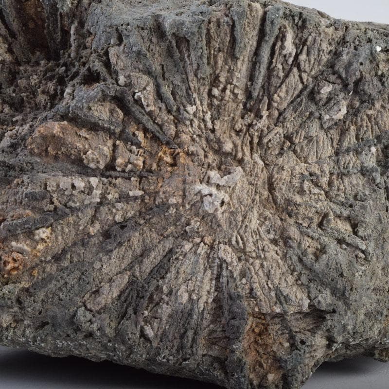 天然石　鑑賞石　菊花石　置物　重さ約1929g　C　8881