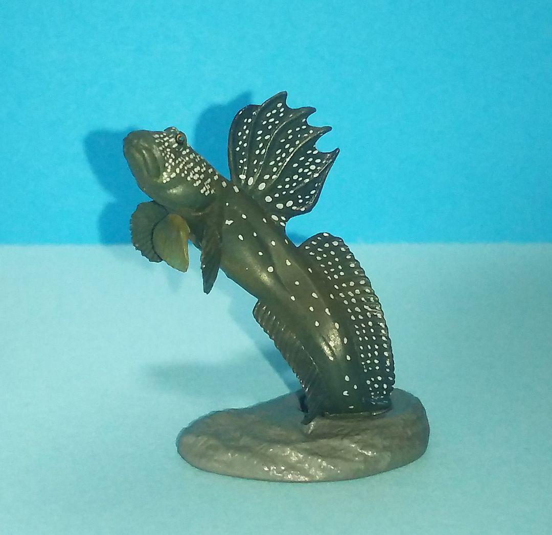 ムツゴロウ 原色海水魚図鑑