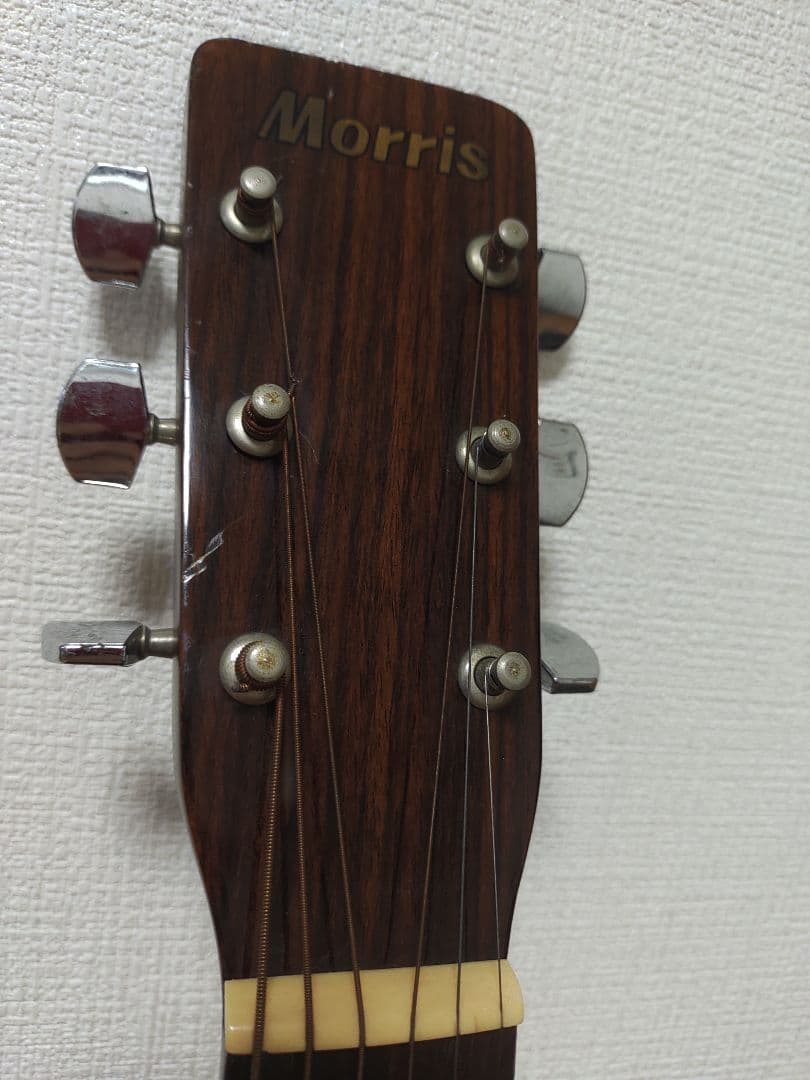 Morris MD502 アコースティックギター