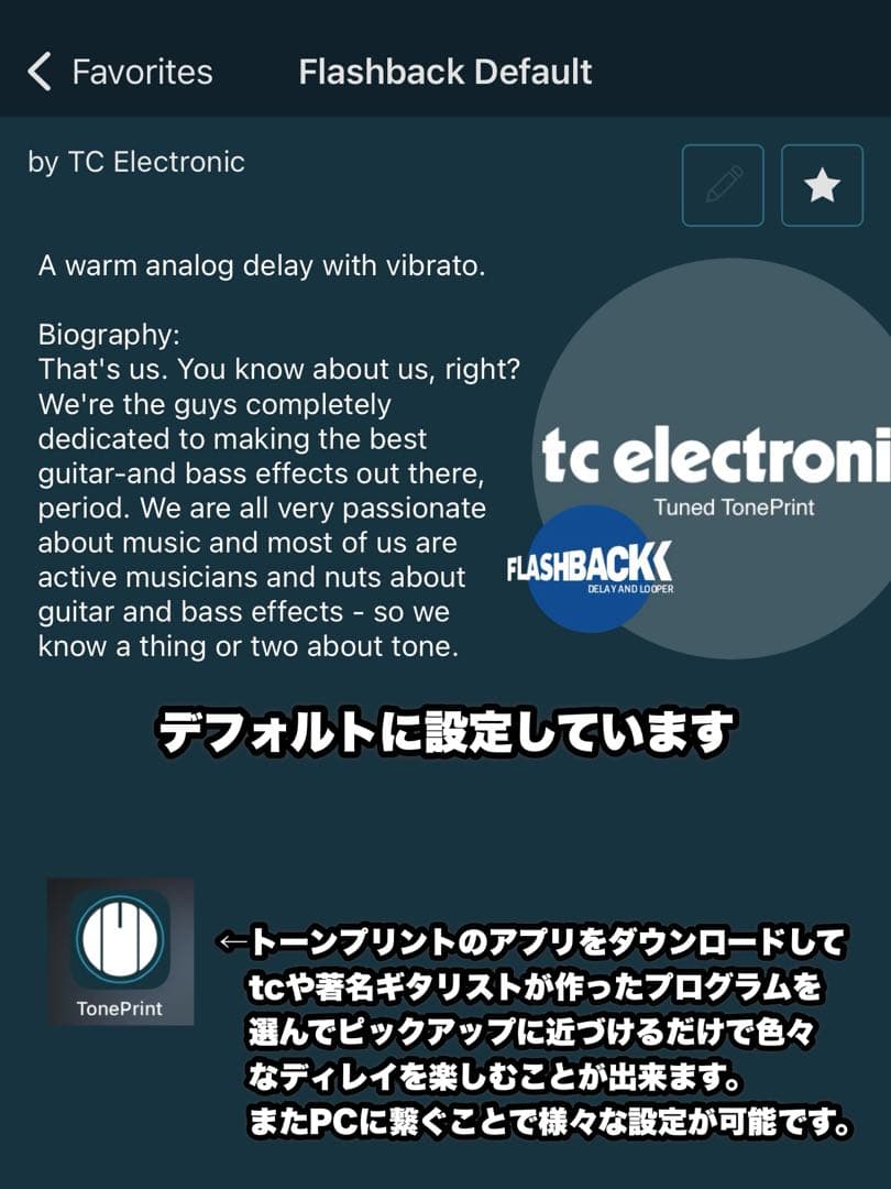 ギター Flashback daley mini