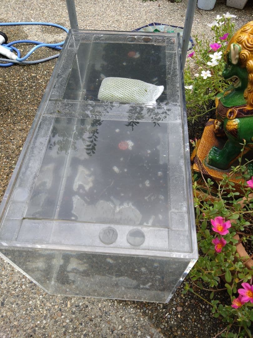 愛知県岩倉市お引き取り限定☆アクリル水槽2台☆