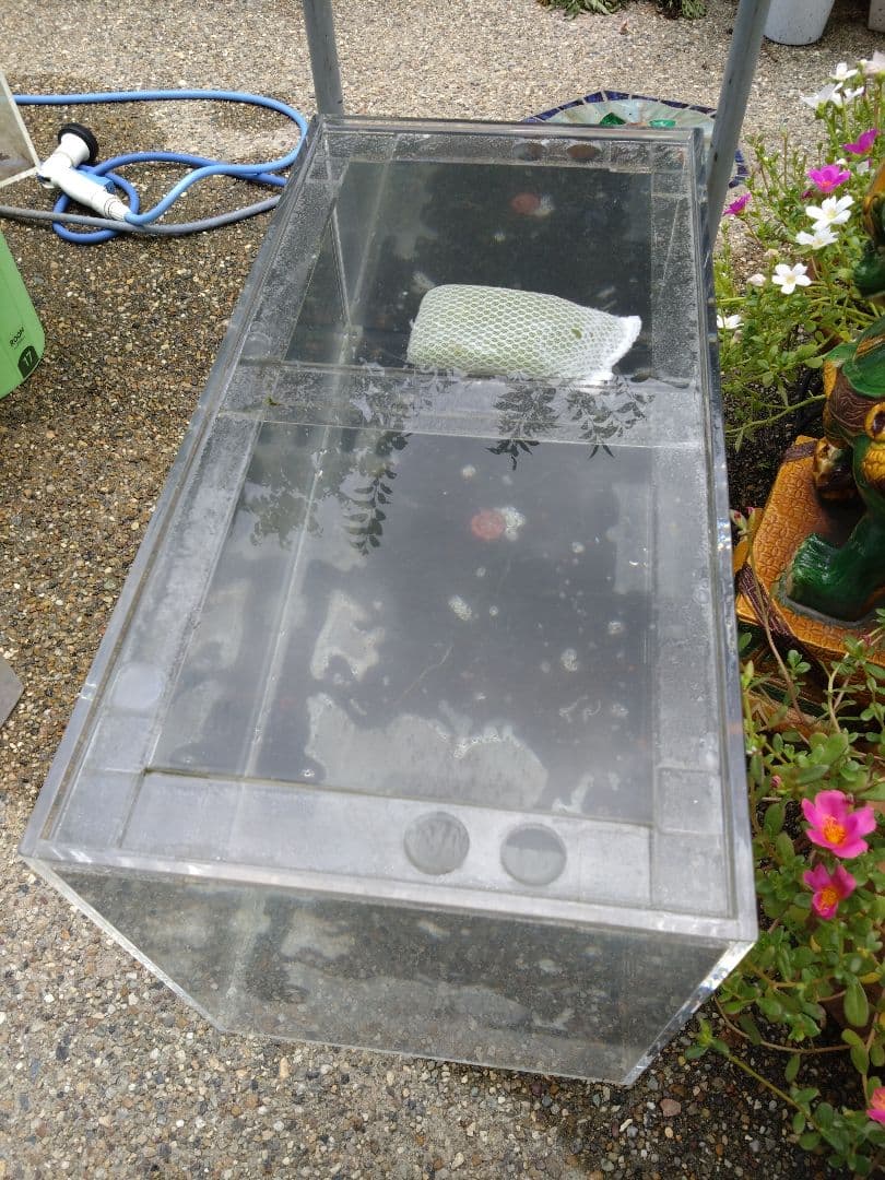 愛知県岩倉市お引き取り限定☆アクリル水槽2台☆