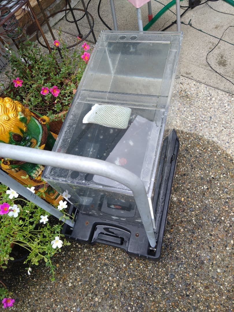 愛知県岩倉市お引き取り限定☆アクリル水槽2台☆