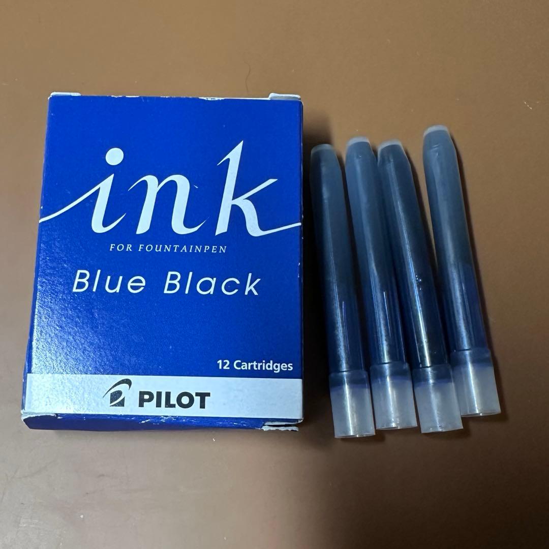 飴*様 PILOT CUSTOM HERITAGE 91 ツキヨ F